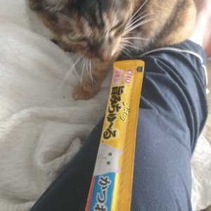 베스트 후기 이미지