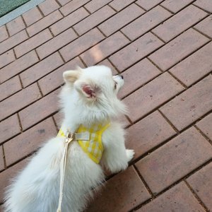 베스트 후기 이미지