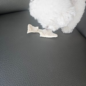 베스트 후기 이미지