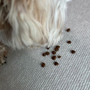 베스트 후기 이미지