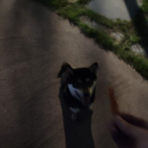 베스트 후기 이미지
