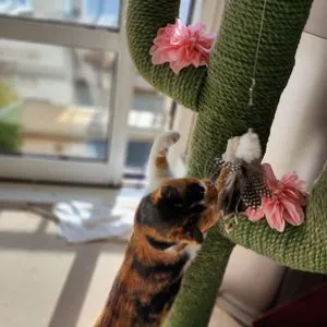 베스트 후기 이미지