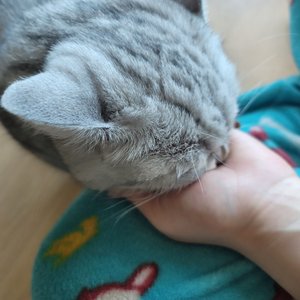 베스트 후기 이미지