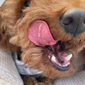 베스트 후기 이미지