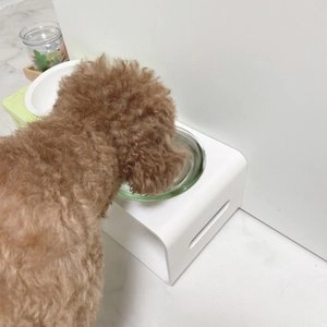 스튜디오얼라이브 식기3 화이트 S10/S14 베스트 후기 이미지