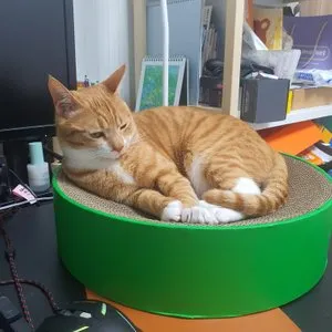 베스트 후기 이미지