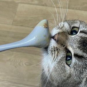 베스트 후기 이미지