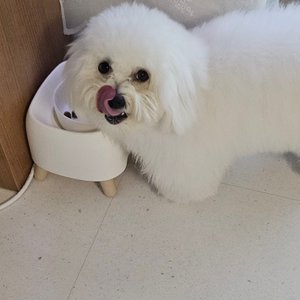 베스트 후기 이미지