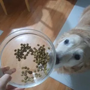 베스트 후기 이미지