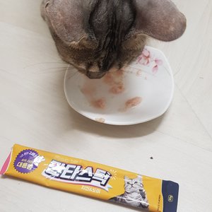 베스트 후기 이미지