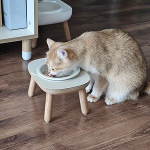 베스트 후기 이미지