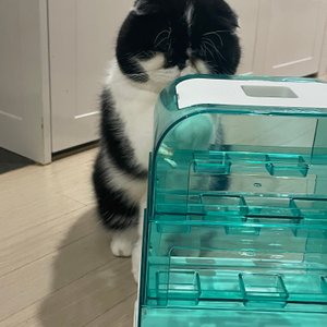 베스트 후기 이미지