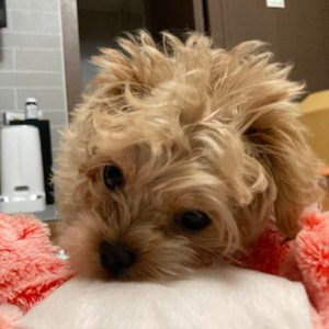 베스트 후기 이미지