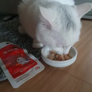 베스트 후기 이미지