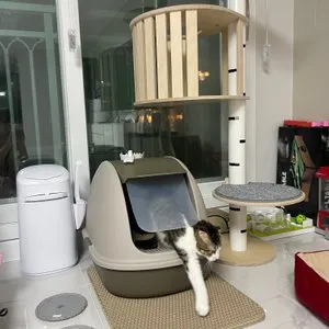 베스트 후기 이미지