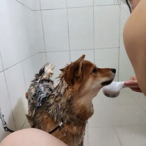 베스트 후기 이미지