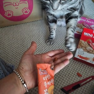 더캣츠 쿠키샌드 게살&다랑어맛 20g 베스트 후기 이미지