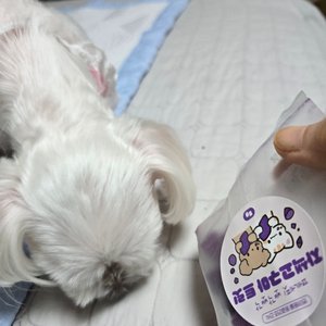 베스트 후기 이미지