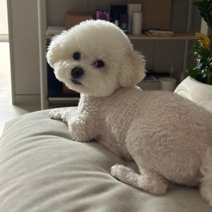 베스트 후기 이미지