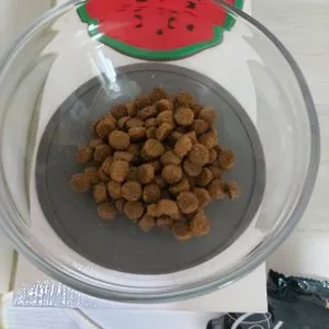 베스트 후기 이미지