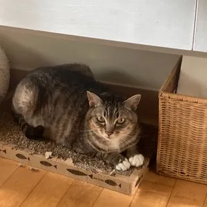 베스트 후기 이미지