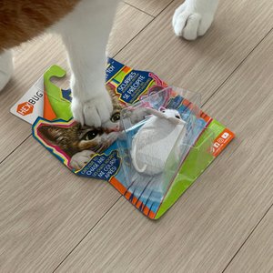 베스트 후기 이미지