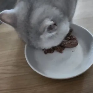 베스트 후기 이미지