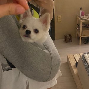 베스트 후기 이미지