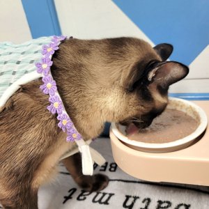 베스트 후기 이미지