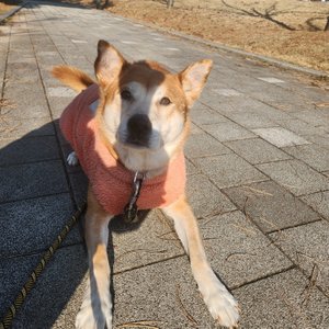 베스트 후기 이미지
