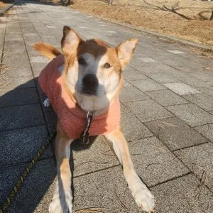 베스트 후기 이미지