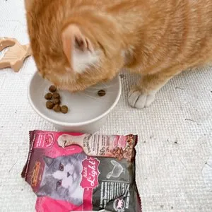 베스트 후기 이미지