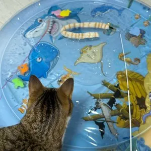 베스트 후기 이미지