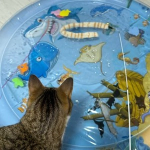 [무료배송] 펫타임즈 물놀이 장난감 워터매트 베스트 후기 이미지