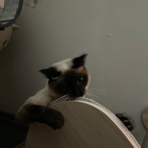 베스트 후기 이미지