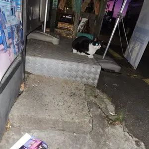 베스트 후기 이미지