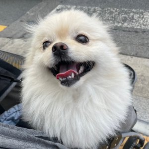 베스트 후기 이미지