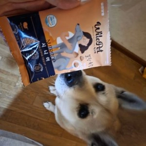 [사료샘플] 윌로펫 독 뉴트리탑 시니어 30g 베스트 후기 이미지