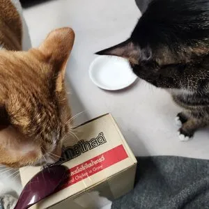 베스트 후기 이미지