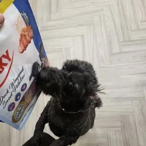 베스트 후기 이미지