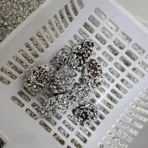 베스트 후기 이미지