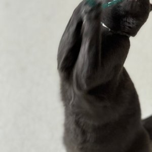 베스트 후기 이미지