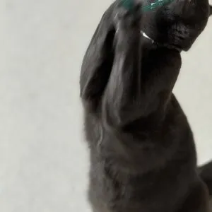 베스트 후기 이미지