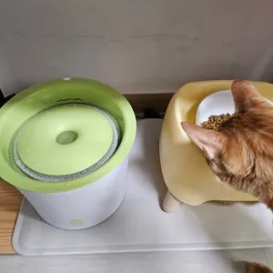 베스트 후기 이미지