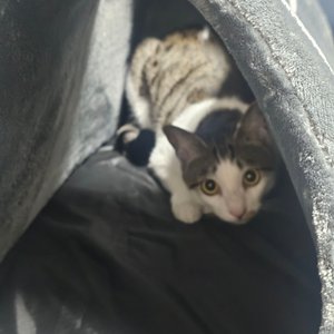 베스트 후기 이미지