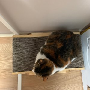 베스트 후기 이미지