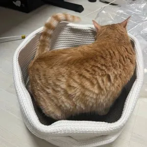 베스트 후기 이미지