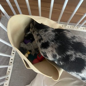 베스트 후기 이미지