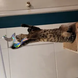 베스트 후기 이미지