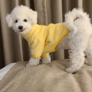 베스트 후기 이미지